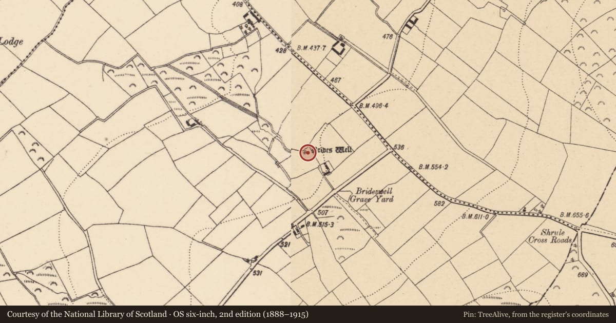 Ordnance Survey six-inch map, 2nd edition (1888–1915) covering the location of Hut site, Brideswell Big, County Wexford, with a pin at the register's coordinates