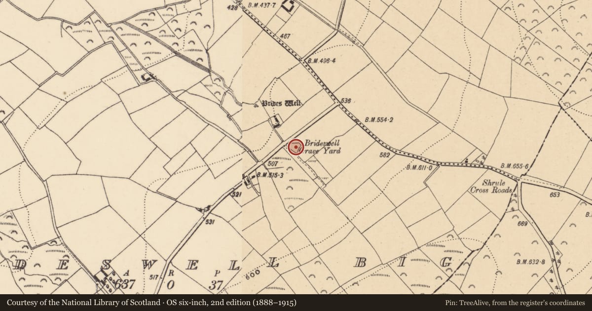 Ordnance Survey six-inch map, 2nd edition (1888–1915) covering the location of Burial ground, Brideswell Big, County Wexford, with a pin at the register's coordinates