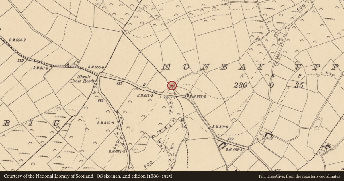 Ordnance Survey six-inch map, 2nd edition (1888–1915) covering the location of Standing stone, Monbay Upper, Shrule, County Wexford, with a pin at the register's coordinates