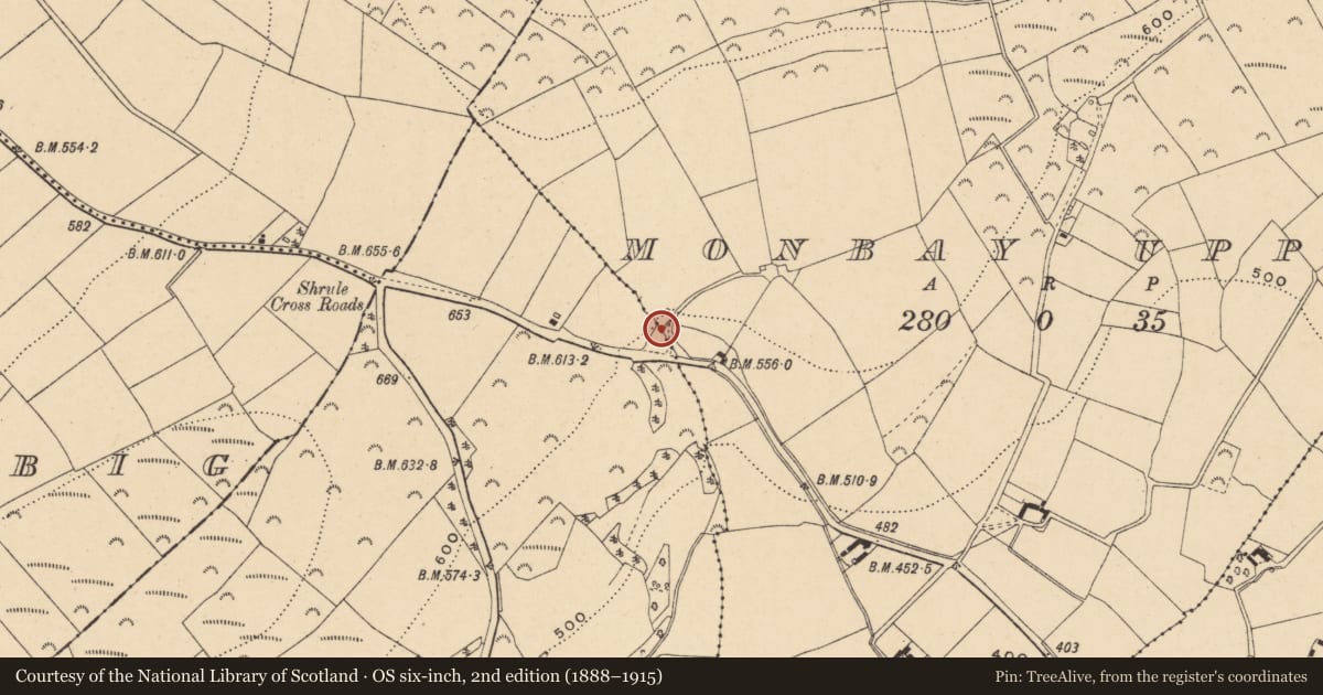 Ordnance Survey six-inch map, 2nd edition (1888–1915) covering the location of Ritual site - holy well, Monbay Upper, County Wexford, with a pin at the register's coordinates