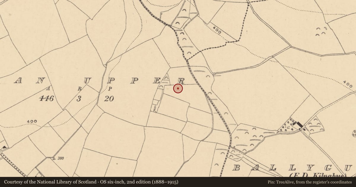 Ordnance Survey six-inch map, 2nd edition (1888–1915) covering the location of Fulacht fia, Craan Upper, County Wexford, with a pin at the register's coordinates