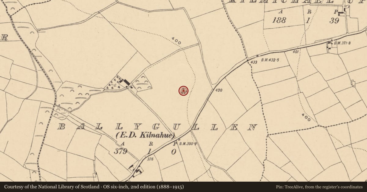 Ordnance Survey six-inch map, 2nd edition (1888–1915) covering the location of Ringfort - rath, Ballygullen, County Wexford, with a pin at the register's coordinates