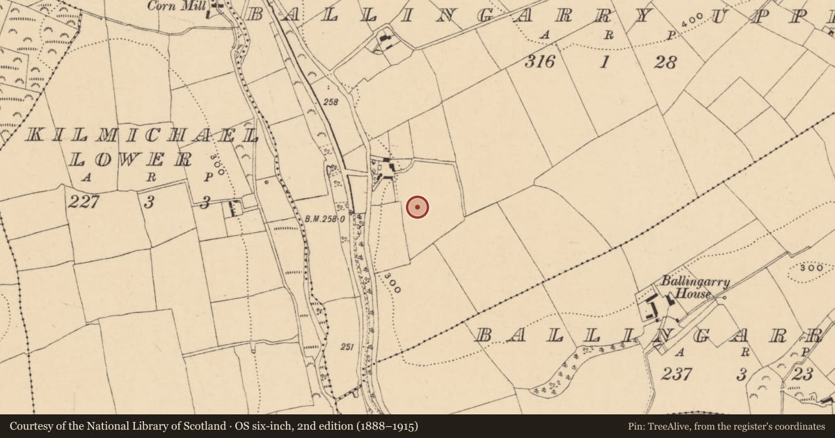 Ordnance Survey six-inch map, 2nd edition (1888–1915) covering the location of Field system, Ballingarry Upper, County Wexford, with a pin at the register's coordinates