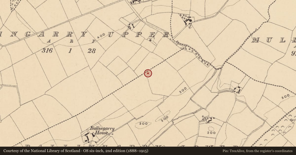 Ordnance Survey six-inch map, 2nd edition (1888–1915) covering the location of Standing stone, Ballingarry Lower, County Wexford, with a pin at the register's coordinates