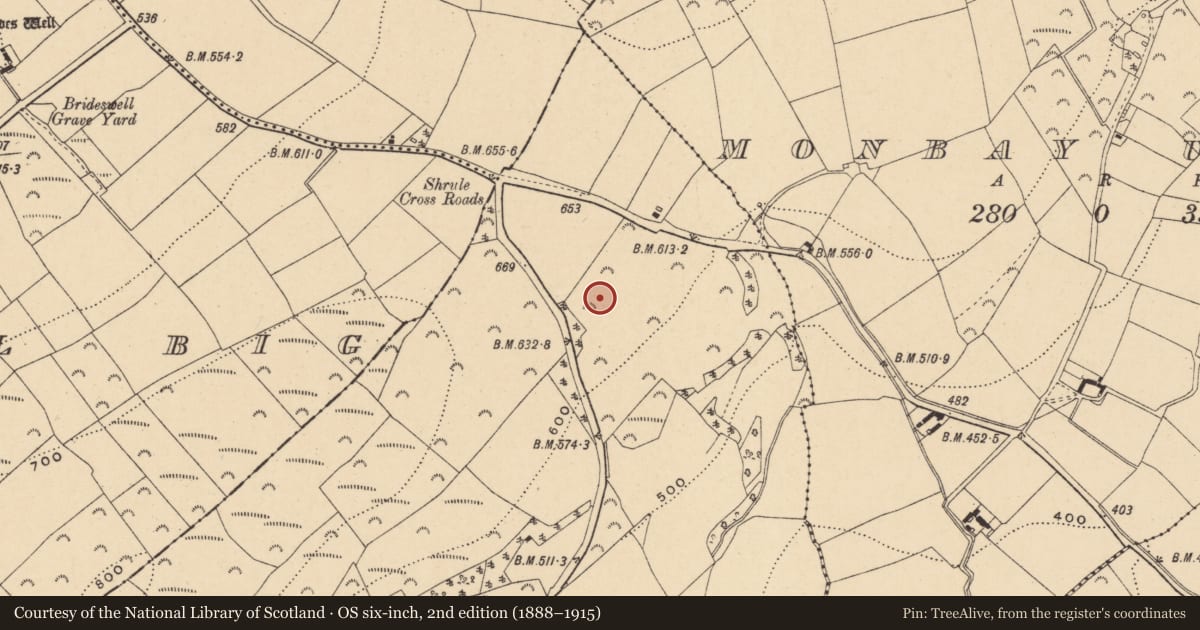 Ordnance Survey six-inch map, 2nd edition (1888–1915) covering the location of Standing stone, Shrule, County Wexford, with a pin at the register's coordinates