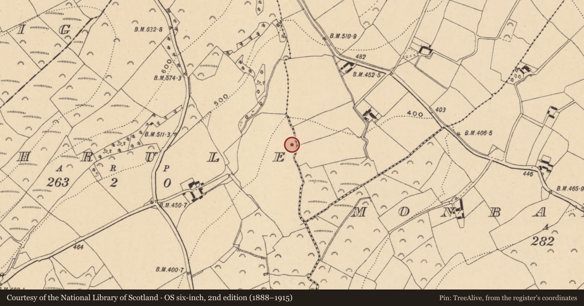 Ordnance Survey six-inch map, 2nd edition (1888–1915) covering the location of Fulacht fia, Shrule, County Wexford, with a pin at the register's coordinates