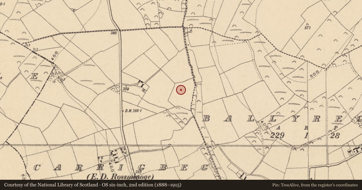 Ordnance Survey six-inch map, 2nd edition (1888–1915) covering the location of Moated site, Carrigbeg, County Wexford, with a pin at the register's coordinates