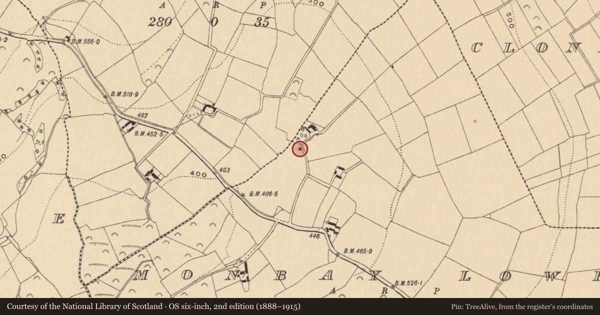 Ordnance Survey six-inch map, 2nd edition (1888–1915) covering the location of Standing stone, Monbay Lower, County Wexford, with a pin at the register's coordinates