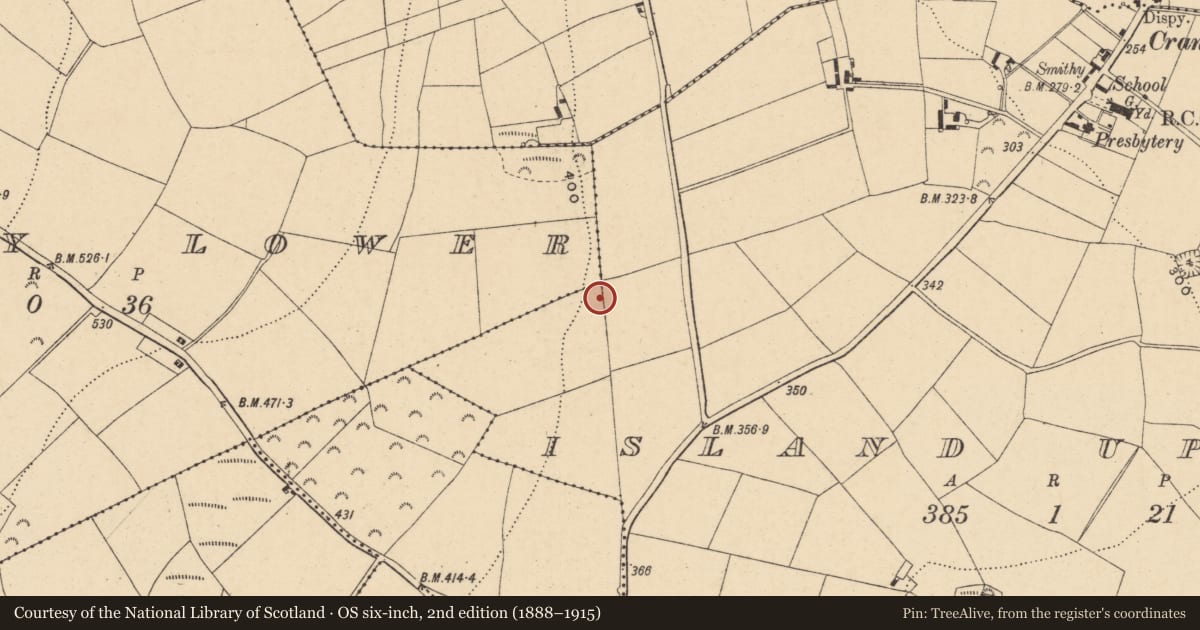 Ordnance Survey six-inch map, 2nd edition (1888–1915) covering the location of Ringfort - rath, Island Upper, Monbay Lower, County Wexford, with a pin at the register's coordinates