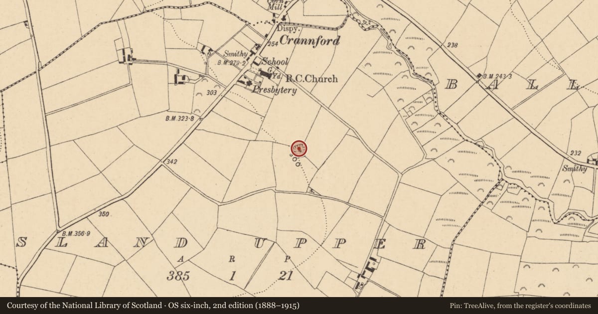 Ordnance Survey six-inch map, 2nd edition (1888–1915) covering the location of Moated site, Island Upper, County Wexford, with a pin at the register's coordinates