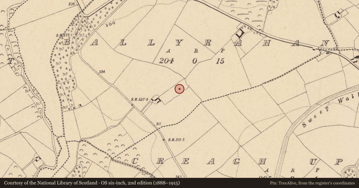 Ordnance Survey six-inch map, 2nd edition (1888–1915) covering the location of Ringfort - rath, Ballyrahan, County Wexford, with a pin at the register's coordinates