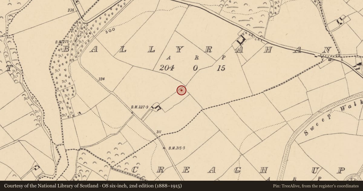 Ordnance Survey six-inch map, 2nd edition (1888–1915) covering the location of Ringfort - rath, Ballyrahan, County Wexford, with a pin at the register's coordinates