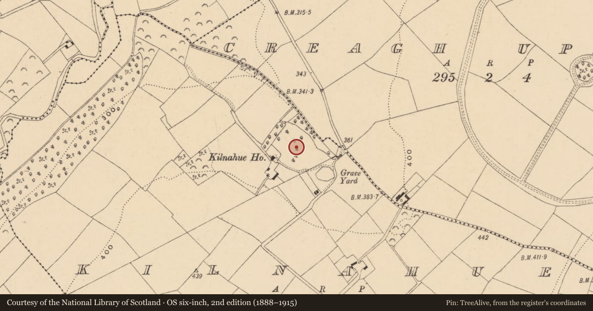Ordnance Survey six-inch map, 2nd edition (1888–1915) covering the location of Enclosure, Kilnahue, County Wexford, with a pin at the register's coordinates