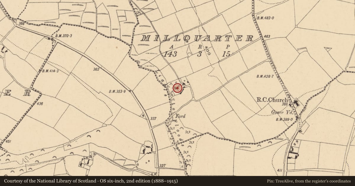 Ordnance Survey six-inch map, 2nd edition (1888–1915) covering the location of Mill - unclassified, Millquarter, County Wexford, with a pin at the register's coordinates