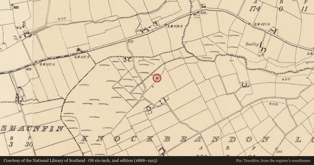 Ordnance Survey six-inch map, 2nd edition (1888–1915) covering the location of Burnt mound, Knockbrandon Lower, County Wexford, with a pin at the register's coordinates