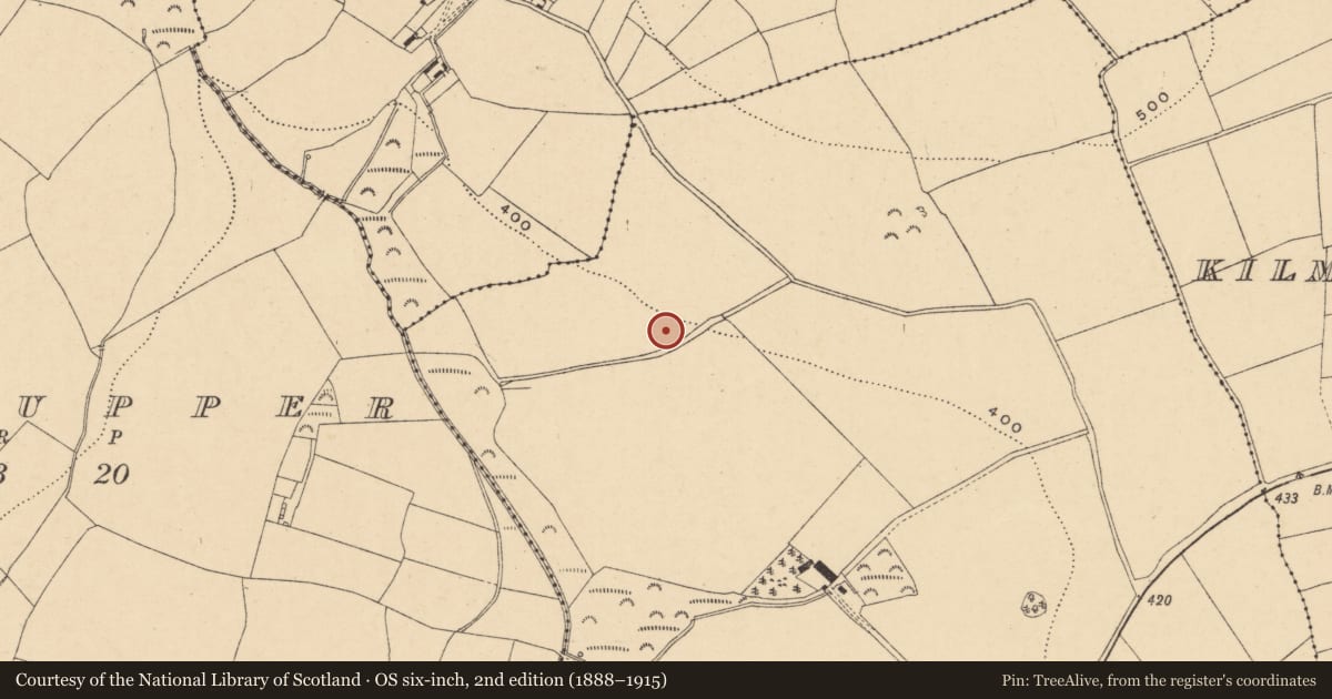 Ordnance Survey six-inch map, 2nd edition (1888–1915) covering the location of Ringfort - unclassified, Ballygullen, County Wexford, with a pin at the register's coordinates