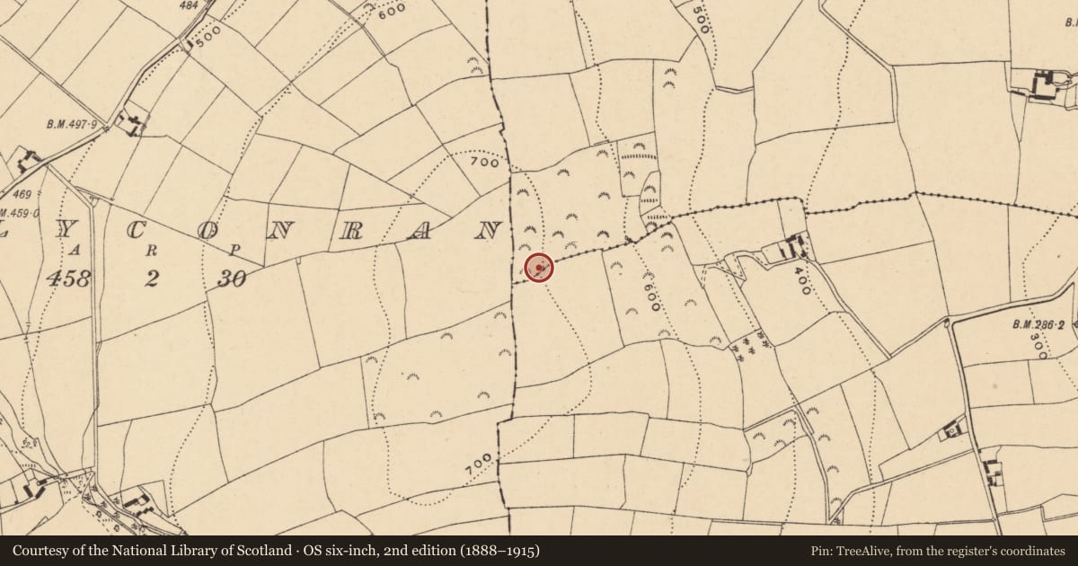 Ordnance Survey six-inch map, 2nd edition (1888–1915) covering the location of Ringfort - rath, Clonamona Upper, Knockbrandon Upper, County Wexford, with a pin at the register's coordinates