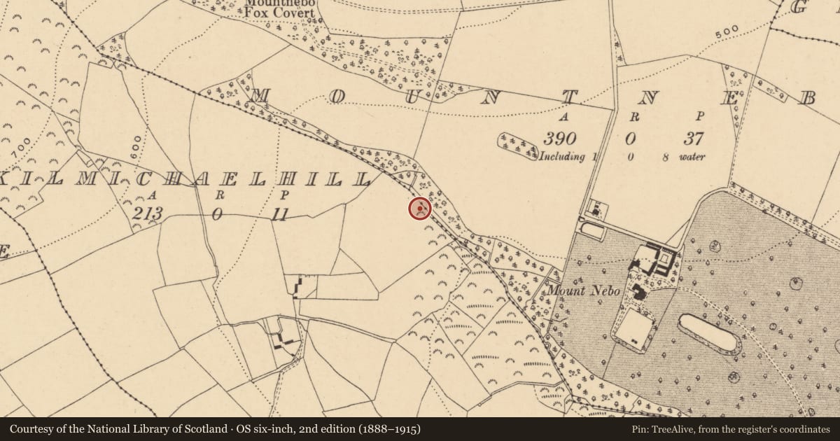 Ordnance Survey six-inch map, 2nd edition (1888–1915) covering the location of Fulacht fia, Kilmichael Hill, County Wexford, with a pin at the register's coordinates
