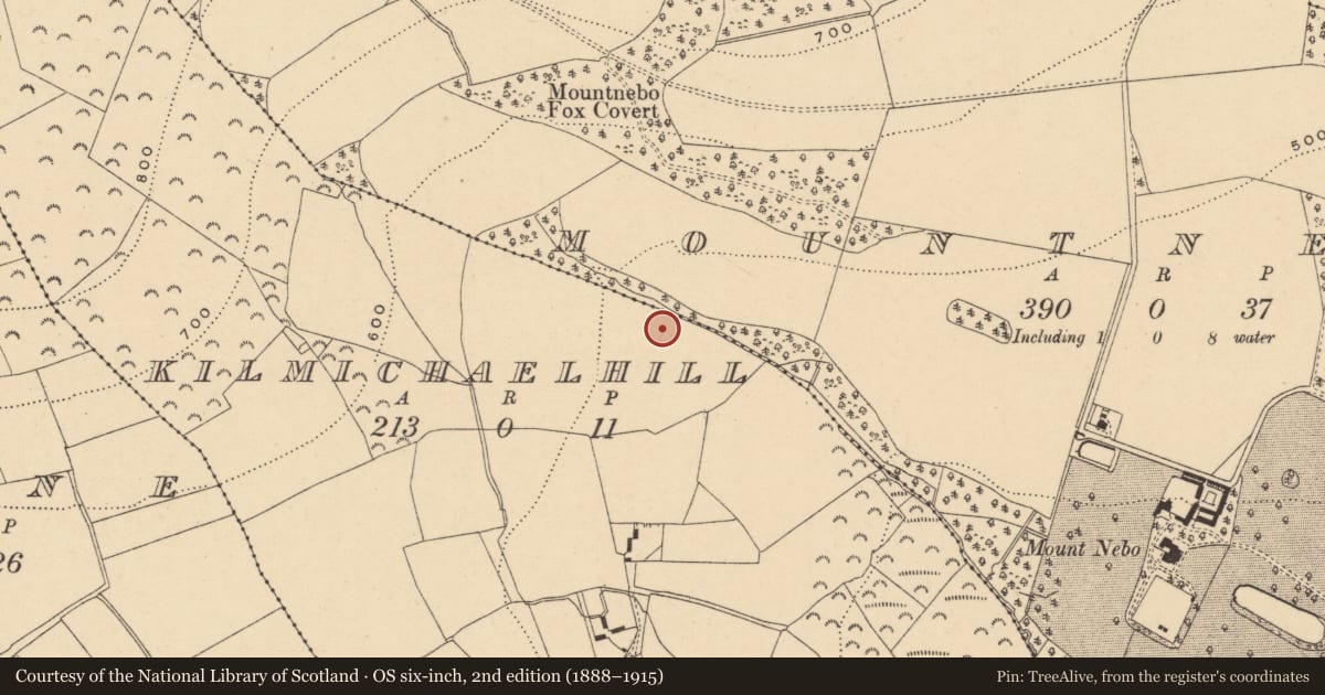 Ordnance Survey six-inch map, 2nd edition (1888–1915) covering the location of Fulacht fia, Kilmichael Hill, County Wexford, with a pin at the register's coordinates
