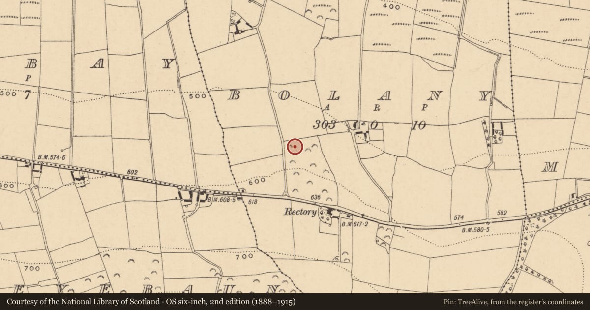 Ordnance Survey six-inch map, 2nd edition (1888–1915) covering the location of Ringfort - unclassified, Bolany, County Wexford, with a pin at the register's coordinates