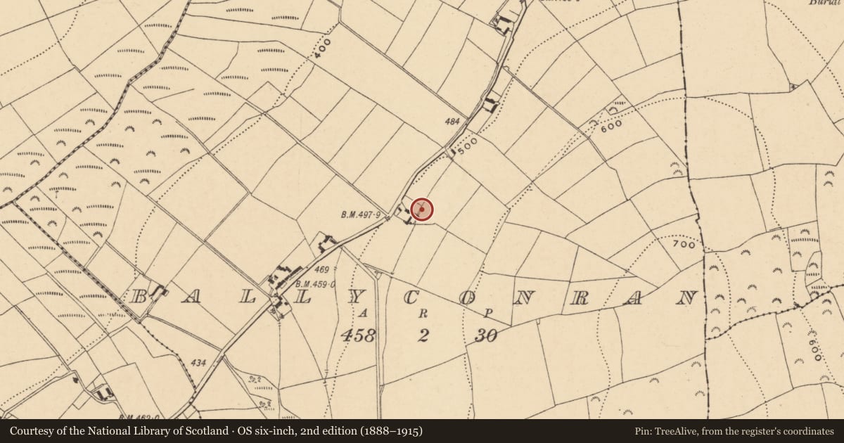 Ordnance Survey six-inch map, 2nd edition (1888–1915) covering the location of Ringfort - unclassified, Ballyconran, County Wexford, with a pin at the register's coordinates