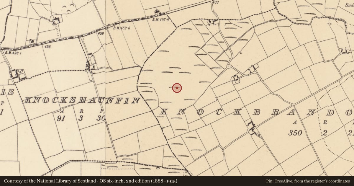 Ordnance Survey six-inch map, 2nd edition (1888–1915) covering the location of Ritual site - pond, Knockbrandon Lower, County Wexford, with a pin at the register's coordinates
