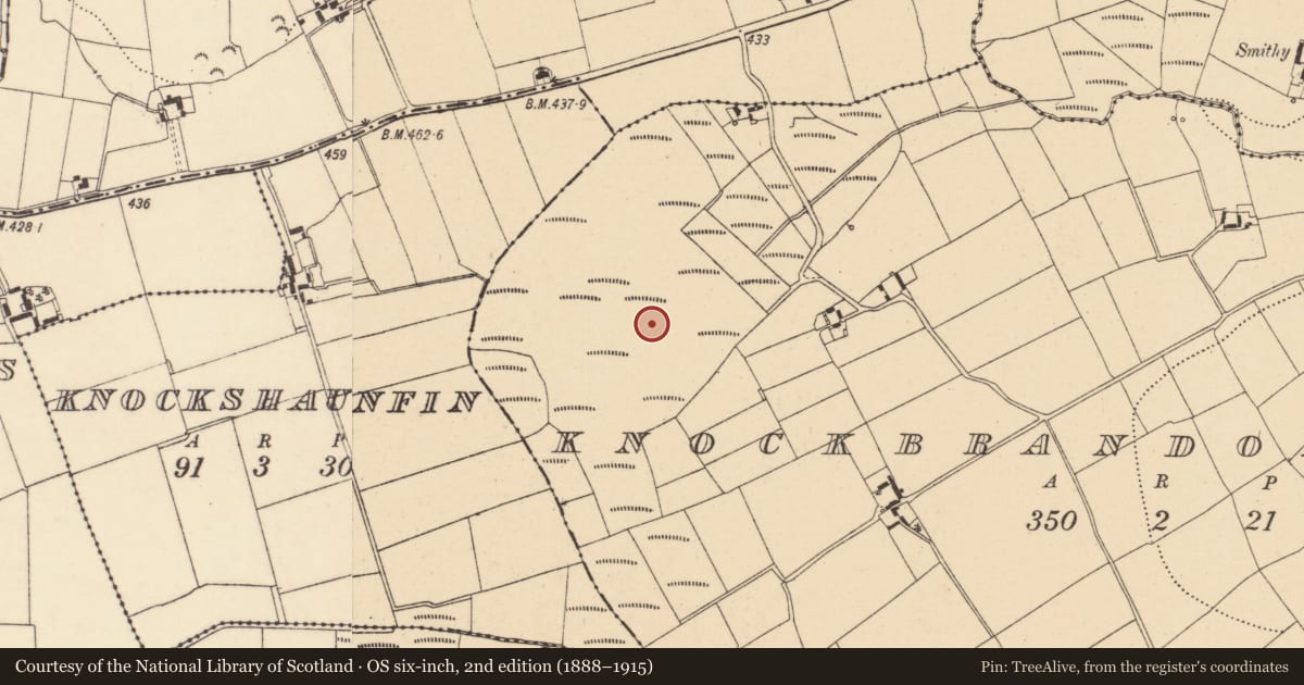 Ordnance Survey six-inch map, 2nd edition (1888–1915) covering the location of Ritual site - pond, Knockbrandon Lower, County Wexford, with a pin at the register's coordinates