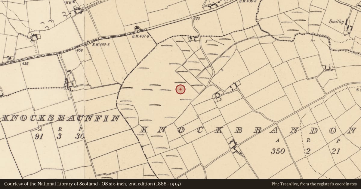 Ordnance Survey six-inch map, 2nd edition (1888–1915) covering the location of Ritual site - pond, Knockbrandon Lower, County Wexford, with a pin at the register's coordinates