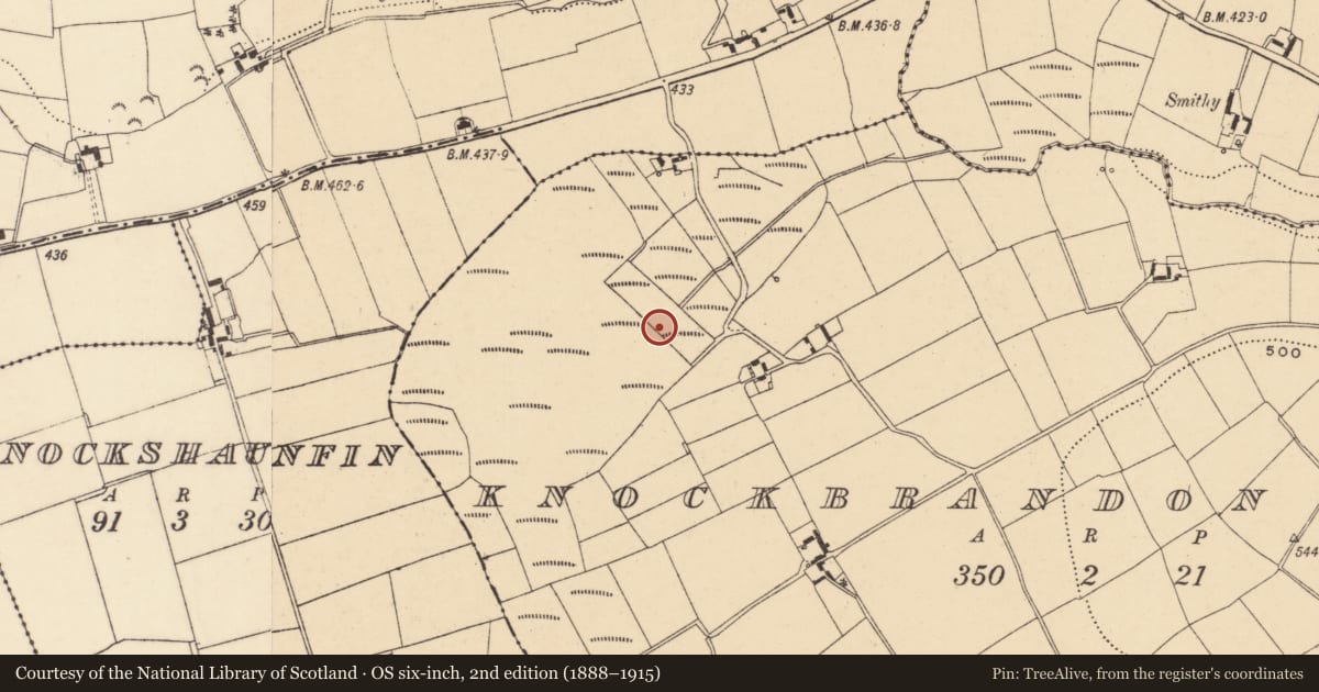 Ordnance Survey six-inch map, 2nd edition (1888–1915) covering the location of Barrow - ring-barrow, Knockbrandon Lower, County Wexford, with a pin at the register's coordinates
