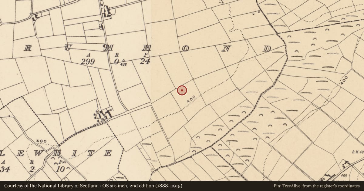 Ordnance Survey six-inch map, 2nd edition (1888–1915) covering the location of Ringfort - rath, Drummond, County Wexford, with a pin at the register's coordinates