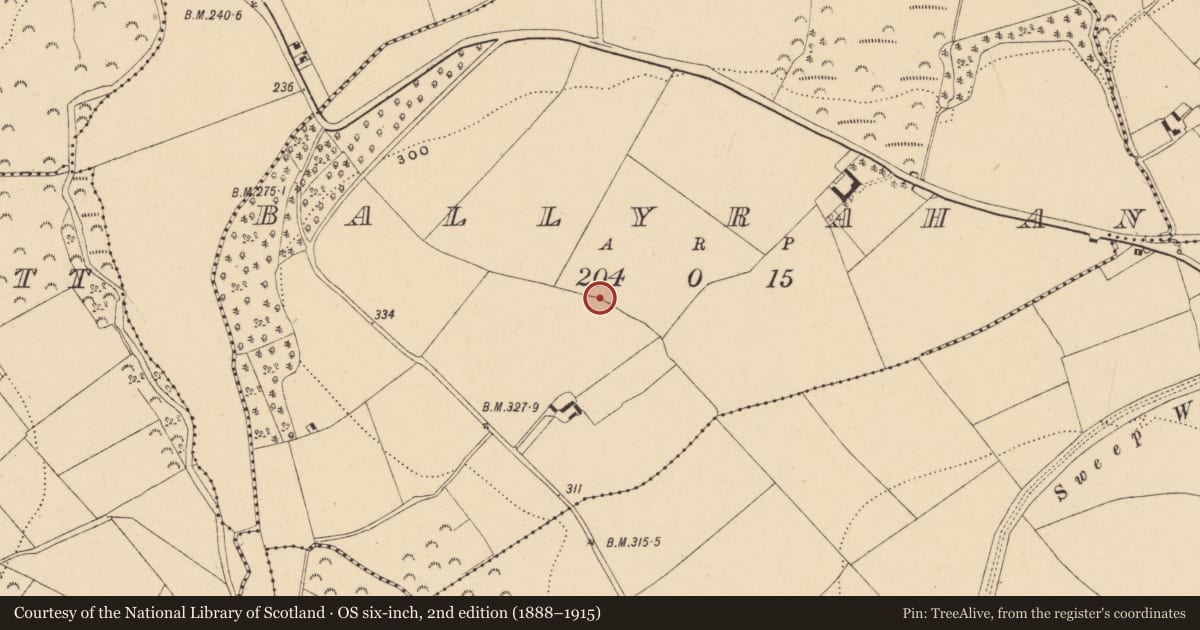 Ordnance Survey six-inch map, 2nd edition (1888–1915) covering the location of Ringfort - rath, Ballyrahan, County Wexford, with a pin at the register's coordinates