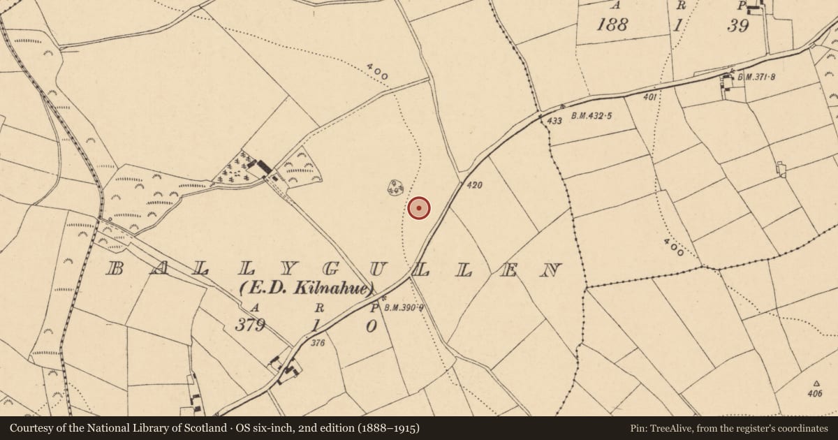Ordnance Survey six-inch map, 2nd edition (1888–1915) covering the location of Battlefield, Ballygullen, County Wexford, with a pin at the register's coordinates