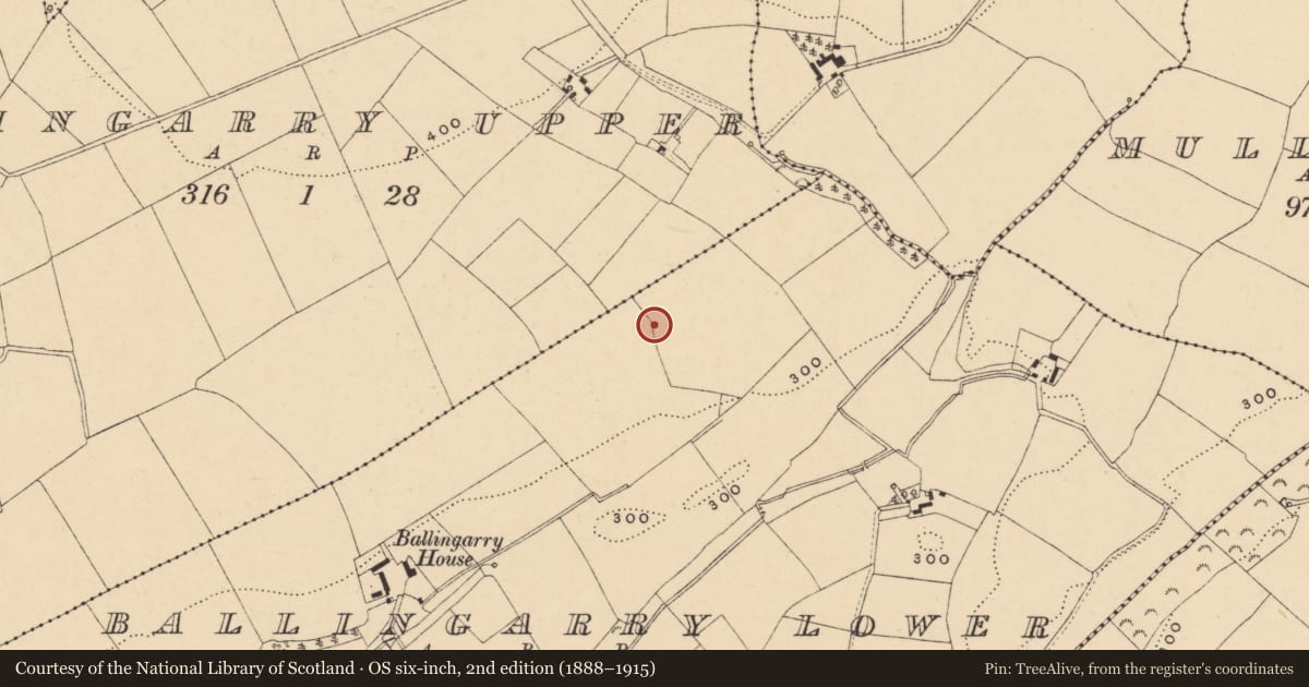 Ordnance Survey six-inch map, 2nd edition (1888–1915) covering the location of Standing stone (present location), Ballingarry Lower, County Wexford, with a pin at the register's coordinates