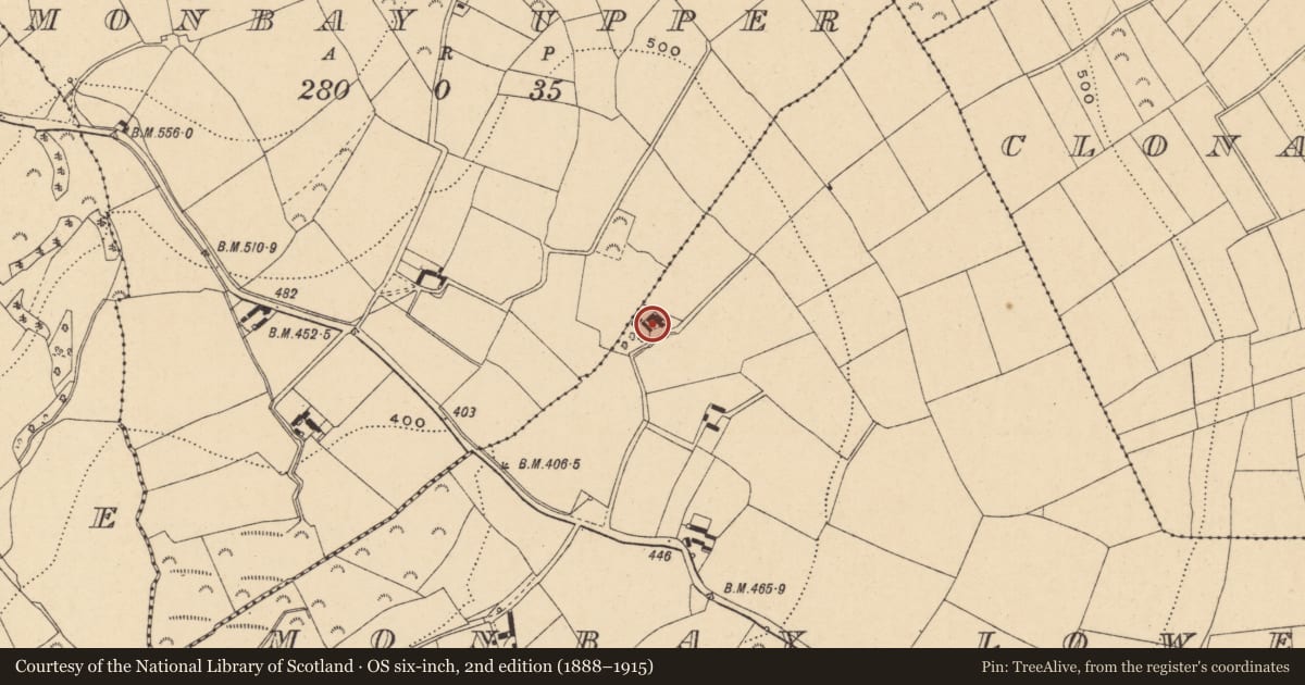 Ordnance Survey six-inch map, 2nd edition (1888–1915) covering the location of Standing stone (present location), Monbay Lower, County Wexford, with a pin at the register's coordinates