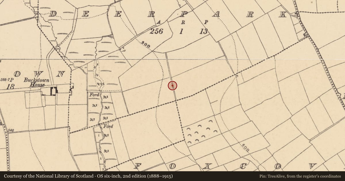 Ordnance Survey six-inch map, 2nd edition (1888–1915) covering the location of Standing stone (present location), Deerpark, County Wexford, with a pin at the register's coordinates