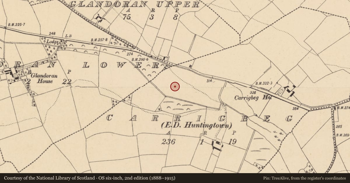Ordnance Survey six-inch map, 2nd edition (1888–1915) covering the location of Ringfort - rath, Carrigbeg, County Wexford, with a pin at the register's coordinates