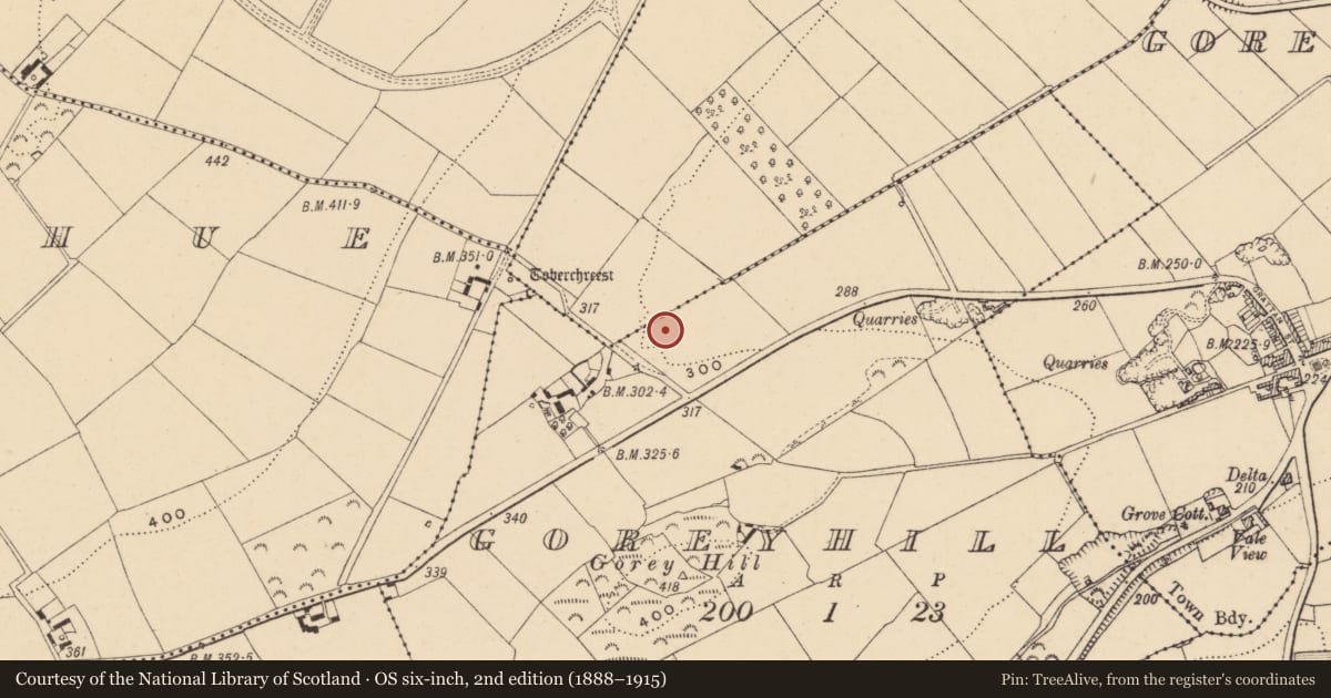 Ordnance Survey six-inch map, 2nd edition (1888–1915) covering the location of Burnt mound, Goreyhill, County Wexford, with a pin at the register's coordinates