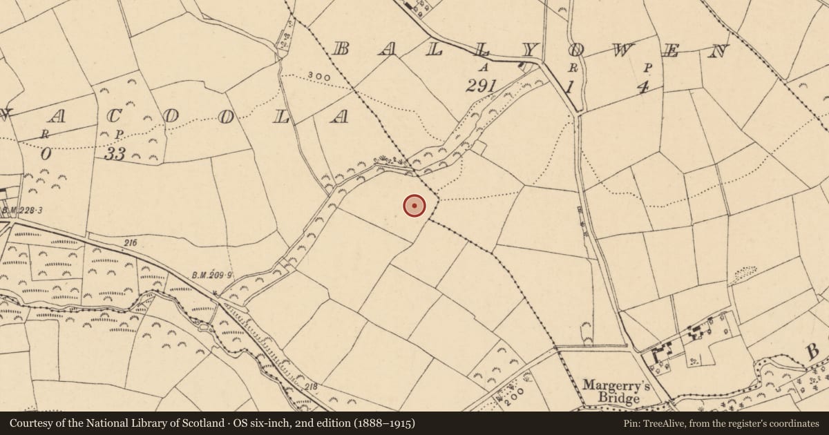 Ordnance Survey six-inch map, 2nd edition (1888–1915) covering the location of Ringfort - rath, Ballinacoola, County Wexford, with a pin at the register's coordinates