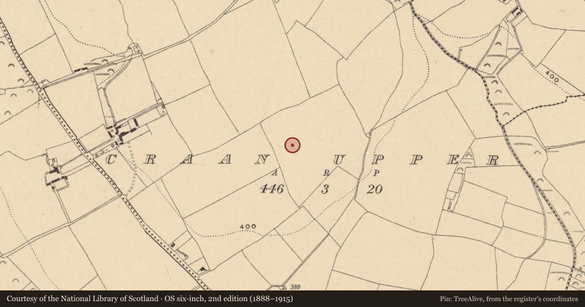 Ordnance Survey six-inch map, 2nd edition (1888–1915) covering the location of Moated site, Craan Upper, County Wexford, with a pin at the register's coordinates