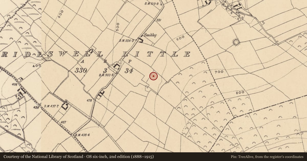 Ordnance Survey six-inch map, 2nd edition (1888–1915) covering the location of Enclosure, Brideswell Little, County Wexford, with a pin at the register's coordinates