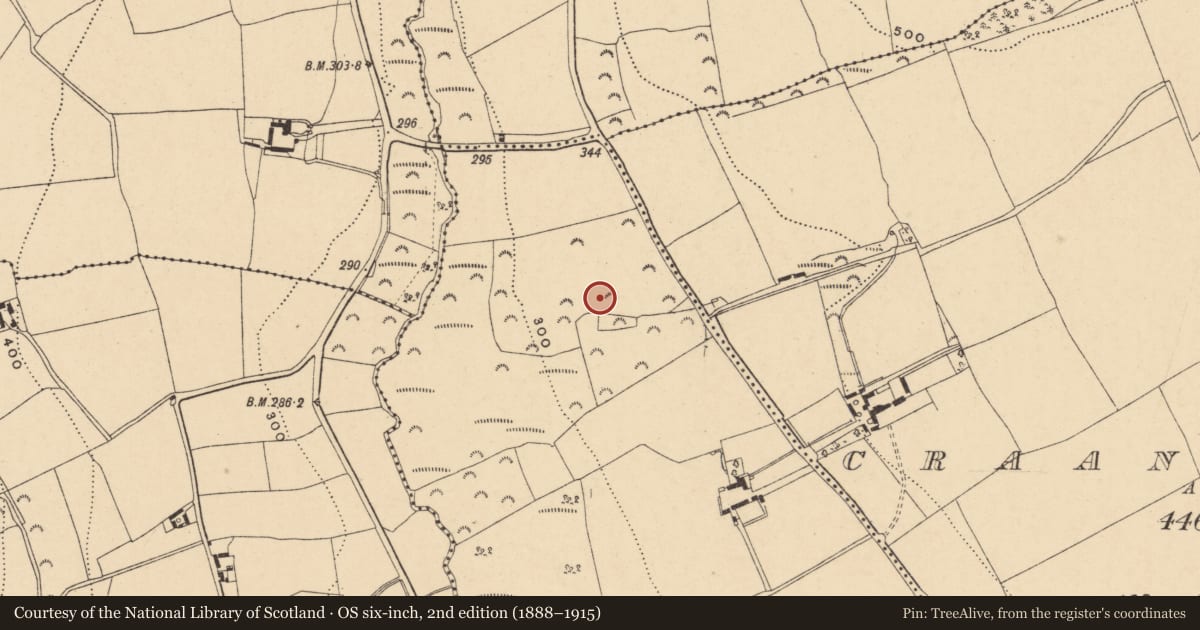 Ordnance Survey six-inch map, 2nd edition (1888–1915) covering the location of Enclosure, Craan Lower, County Wexford, with a pin at the register's coordinates