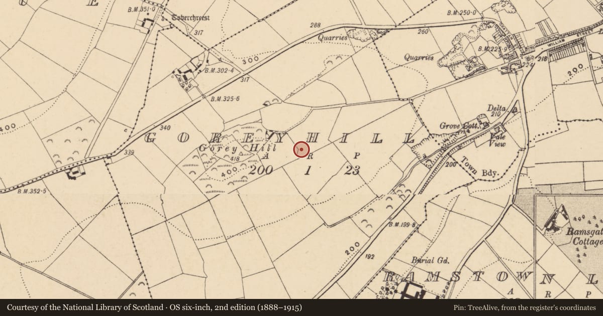 Ordnance Survey six-inch map, 2nd edition (1888–1915) covering the location of Enclosure, Goreyhill, County Wexford, with a pin at the register's coordinates