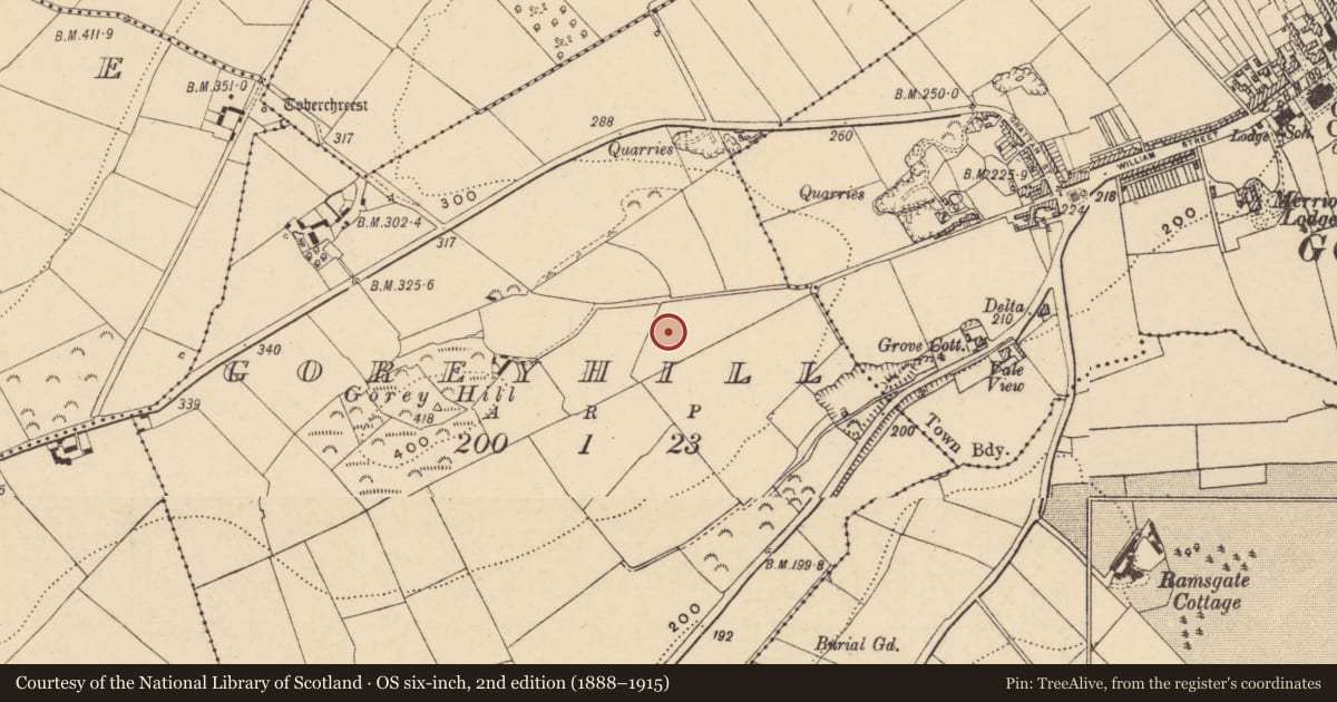 Ordnance Survey six-inch map, 2nd edition (1888–1915) covering the location of Enclosure, Goreyhill, County Wexford, with a pin at the register's coordinates