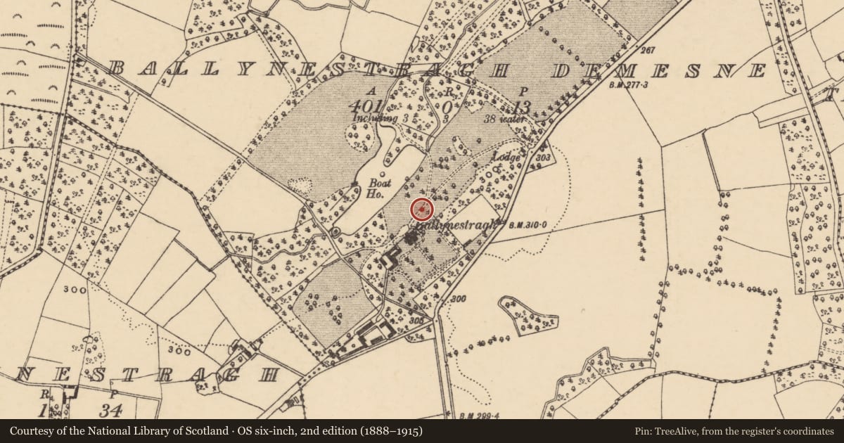 Ordnance Survey six-inch map, 2nd edition (1888–1915) covering the location of Bullaun stone, Ballynestragh Demesne, County Wexford, with a pin at the register's coordinates