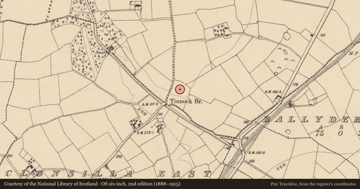 Ordnance Survey six-inch map, 2nd edition (1888–1915) covering the location of Standing stone, Tinnock Lower, County Wexford, with a pin at the register's coordinates