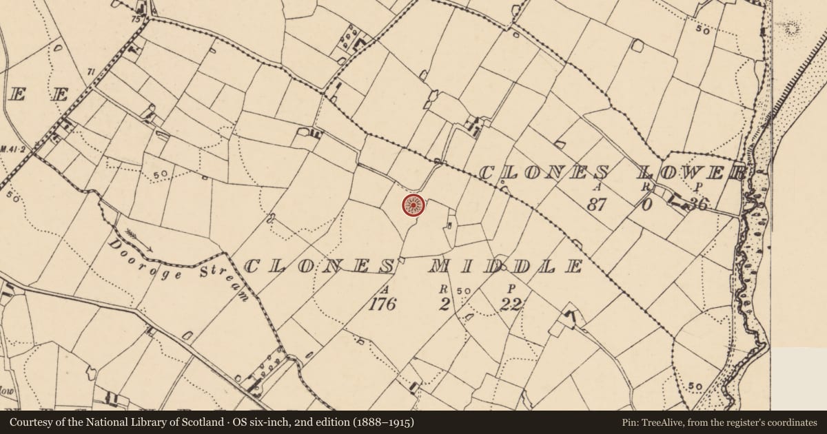 Ordnance Survey six-inch map, 2nd edition (1888–1915) covering the location of Moated site, Clones Middle, County Wexford, with a pin at the register's coordinates