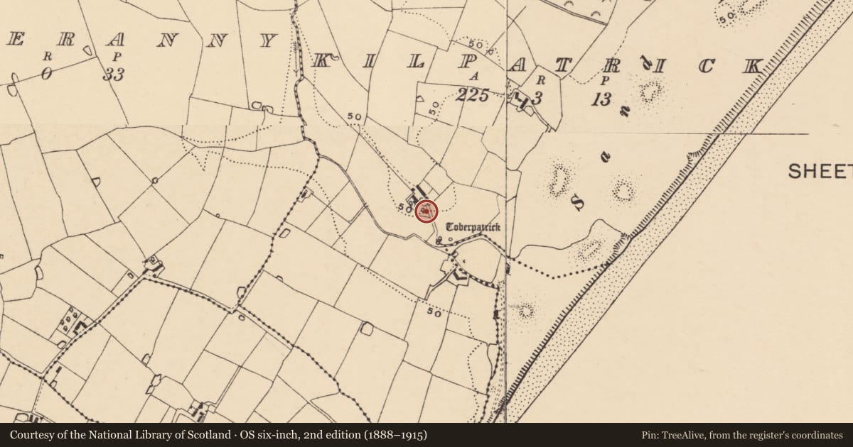 Ordnance Survey six-inch map, 2nd edition (1888–1915) covering the location of Burial ground, Kilpatrick, County Wexford, with a pin at the register's coordinates