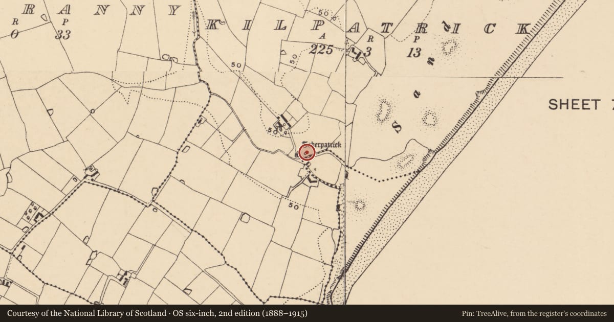 Ordnance Survey six-inch map, 2nd edition (1888–1915) covering the location of Ritual site - holy well, Kilpatrick, County Wexford, with a pin at the register's coordinates