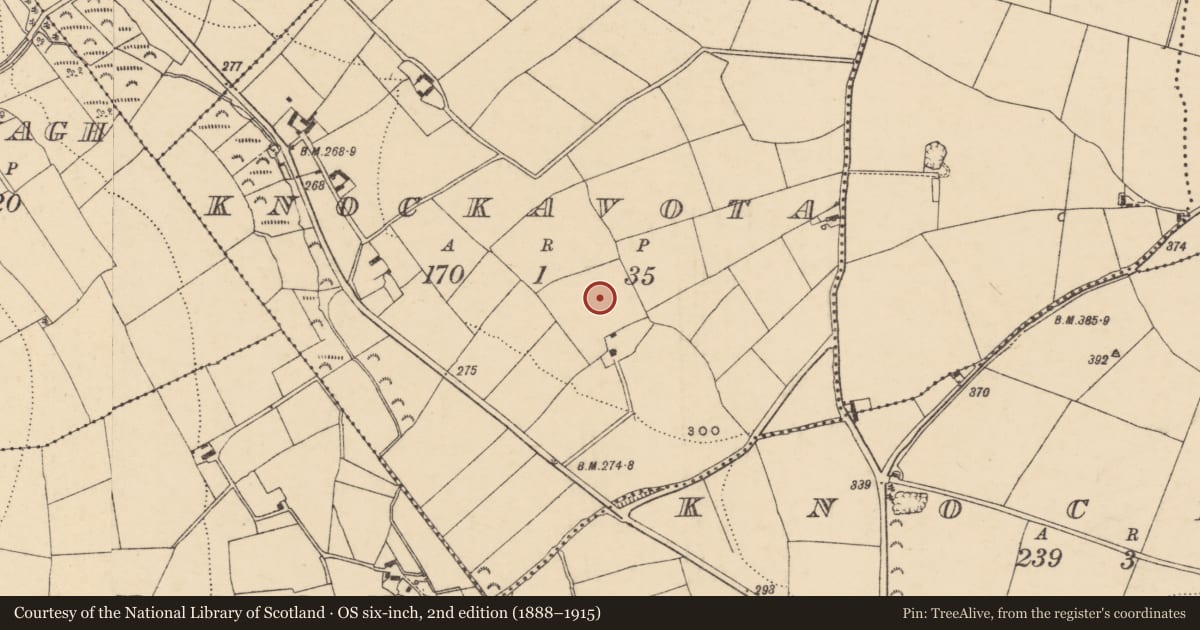 Ordnance Survey six-inch map, 2nd edition (1888–1915) covering the location of Barrow - unclassified, Knockavota, County Wexford, with a pin at the register's coordinates