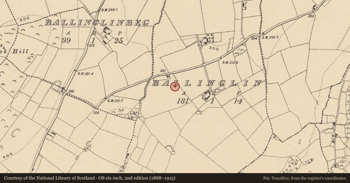 Ordnance Survey six-inch map, 2nd edition (1888–1915) covering the location of Ringfort - rath, Ballinglin, County Wexford, with a pin at the register's coordinates